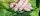 Farb-Gel &quot;Magigreen&quot; 5 ml